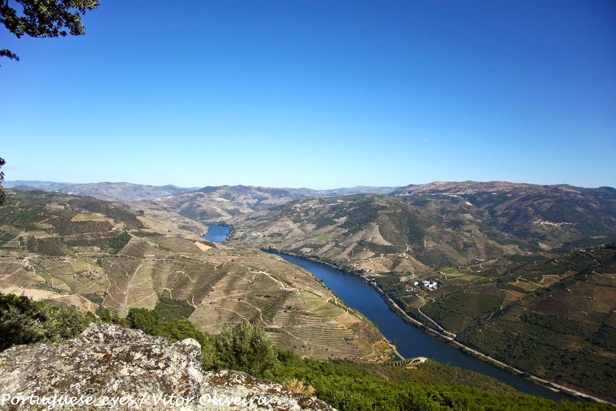 Vista do rio Douro e dos socalcos vinhateiros a partir do Miradouro de São Leonardo da Galafura